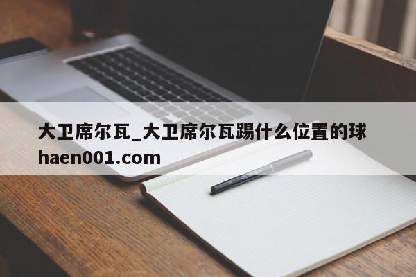大卫席尔瓦_大卫席尔瓦踢什么位置的球 haen001.com