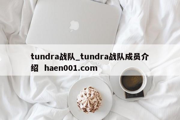 tundra战队_tundra战队成员介绍  haen001.com