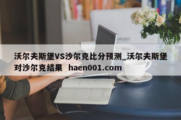 沃尔夫斯堡VS沙尔克比分预测_沃尔夫斯堡对沙尔克结果  haen001.com