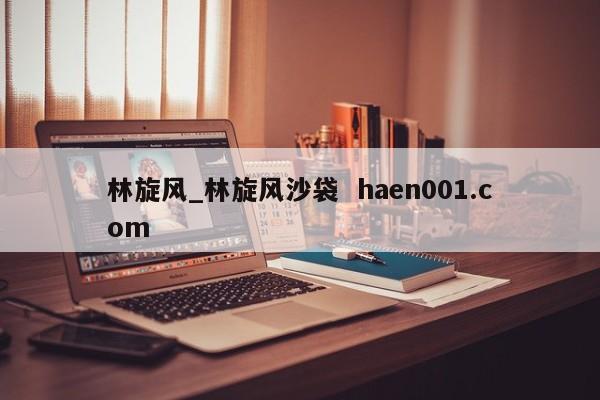 林旋风_林旋风沙袋  haen001.com